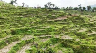 जग्गा कारोबार २६ र राजस्व ४४ प्रतिशतले घट्यो