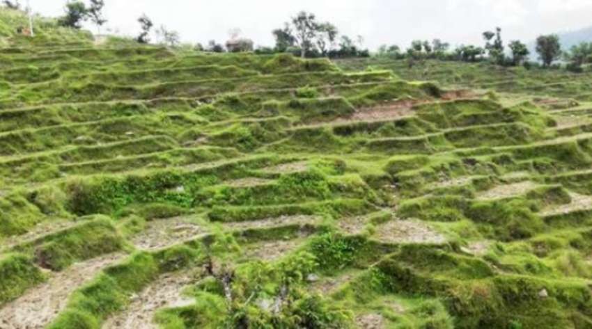 जग्गा कारोबार २६ र राजस्व ४४ प्रतिशतले घट्यो