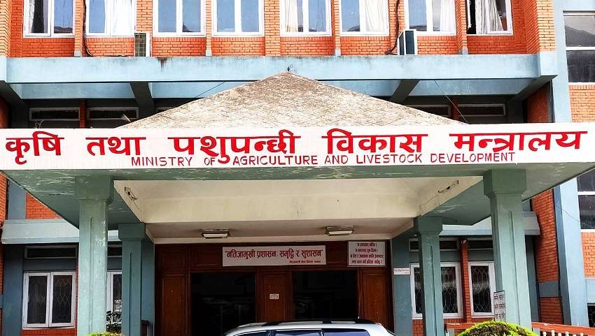 किसानका नाममा सीमित व्यक्ति–समूह मालामाल, परामर्शमै १० अर्ब स्वाहा