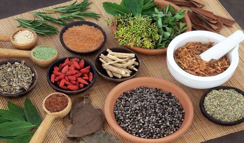 कोरोना उपचारमा आयुर्वेदिक औषधि उपयोगी