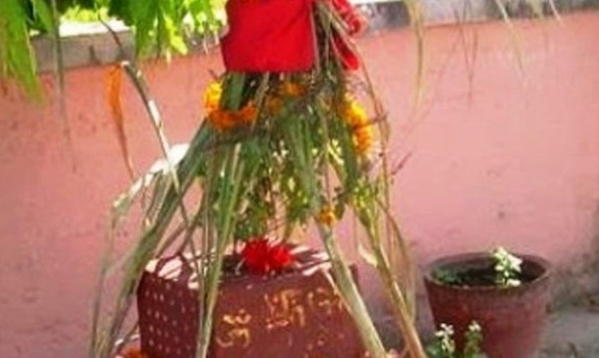 आज हरिशयनी एकादशी