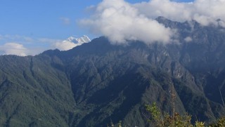 राष्ट्रिय निकुञ्जमा यार्सागुम्बा संकलनमा रोक
