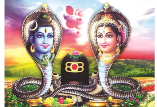 नागपञ्चमी पर्वः घरघरमा नागको पूजा आराधना गरिँदै