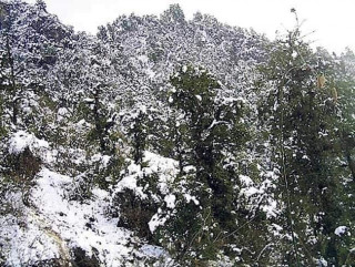 मौसम पूर्वानुमानः पहाडमा वर्षा, हिमाली भेगमा हिमपातको सम्भावना