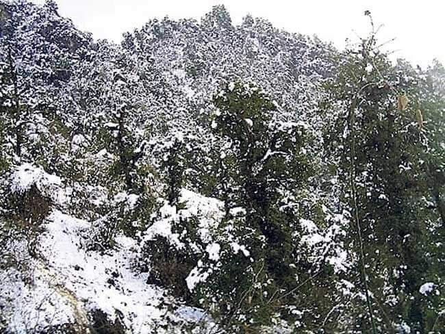 मौसम पूर्वानुमानः पहाडमा वर्षा, हिमाली भेगमा हिमपातको सम्भावना