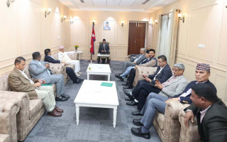 उच्चस्तरीय समिति बनाउन दलहरू सहमत