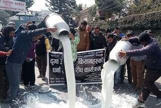 ललितपुर जिल्ला प्रशासन कार्यालय अगाडि दूध पोखेर प्रदर्शन
