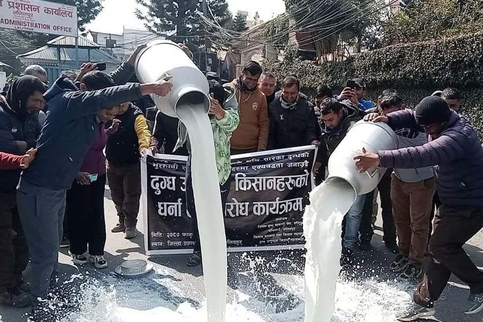 ललितपुर जिल्ला प्रशासन कार्यालय अगाडि दूध पोखेर प्रदर्शन