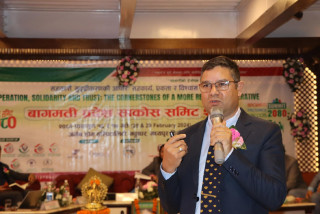 सहकारी संस्था अरुको भर पर्नु हुँदैनः सापकोटा