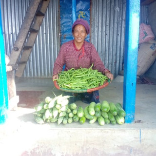 जलवायु उत्थानशीलतर्फ उन्मुख हुदै फुलखर्क गाउँ