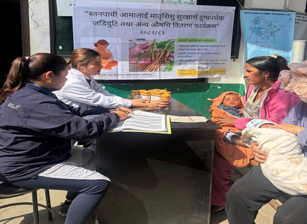 स्तनपायी आमाका लागि दुग्धवर्धक जडिबुटी वितरण कार्यक्रम सुरु